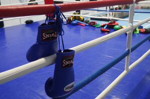 По собственному желанию