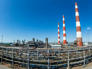 Дроны сбили добычу