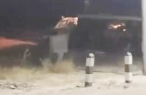 Трудно было разглядеть