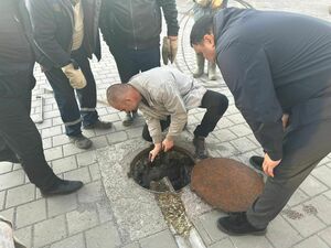 Сливайте куда положено