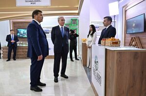 Глава государства заслушал отчет акима Кызылординской области