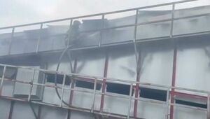 Семена подсолнечника загорелись на территории предприятия в ВКО