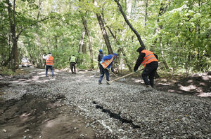 Пилой по живому