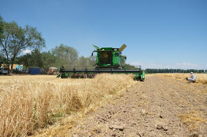 Колос с надбавкой