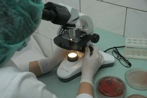 Зараза миновала