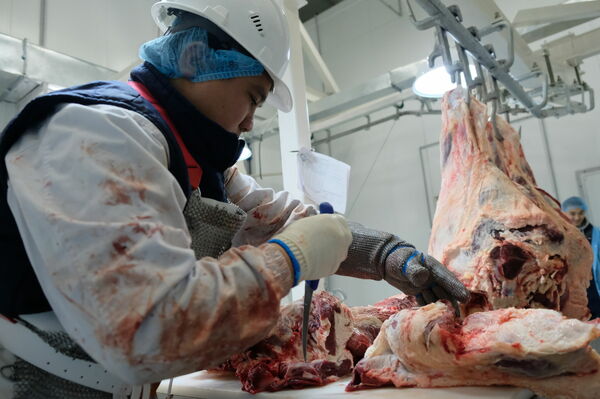 Наваристый бульон обещаний