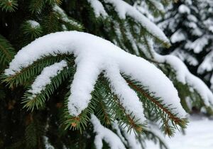 Снегопады ожидаются в среду в ряде регионов Казахстана