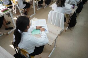 Интеграция интеллектов