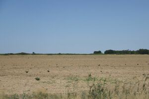 Земля вернулась домой