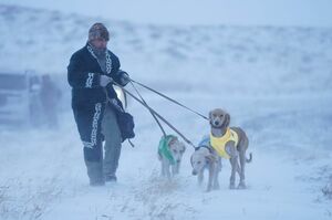 Экзамен в поле