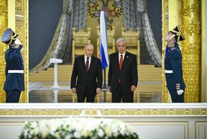 Безусловные союзники