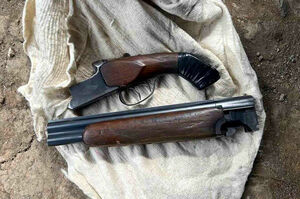 Сам стрелял и был застрелен