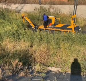 Вычистят до дна