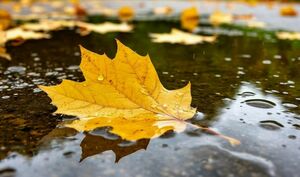 Осадки ожидаются в четверг в большинстве регионов Казахстана