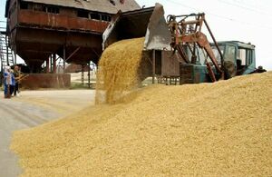 Смертельный урожай