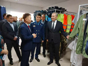 Большая чистка