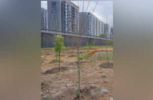 Дорогие ошибки