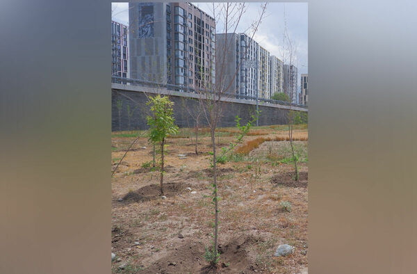 Дорогие ошибки