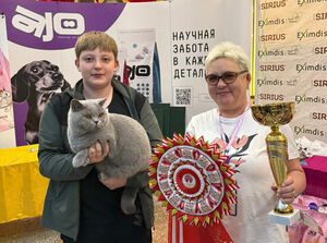 Голубые победили