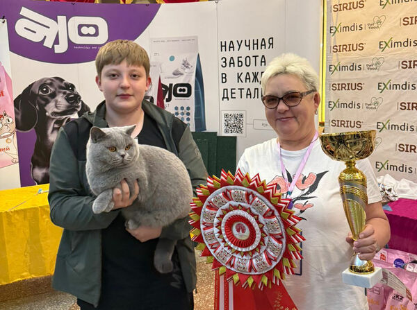 Голубые победили