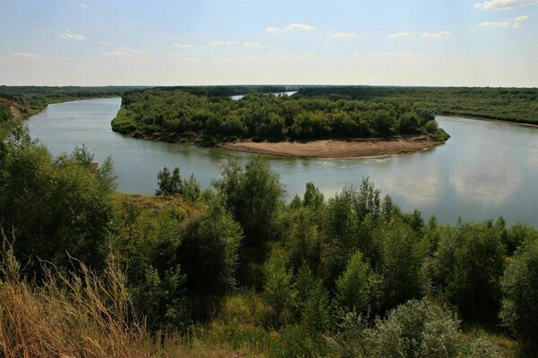 «Это политическая игра»