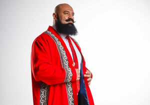 Гвозди гнёт, но не вбивает