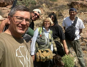 Петроглифы дружат с ИИ