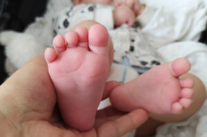 Суррогатный рейс