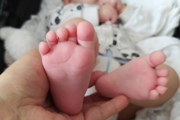 Суррогатный рейс