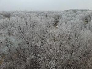 Самое время