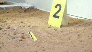 Криминалисты МВД РК раскрыли свыше 8 тыс. преступлений в 2025 году