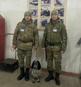 Детектив оправдал доверие