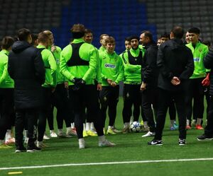 Вся надежда на искусственный газон?