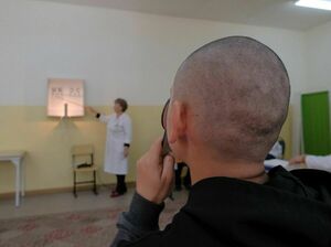 За призывников переплатили