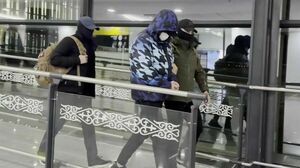 Вот и Кинг-Конг попался