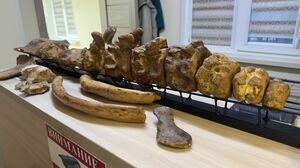 Там, где раньше был океан