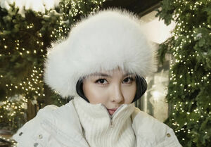 Песня вам под ёлочку