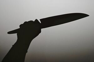 Сержант вне закона