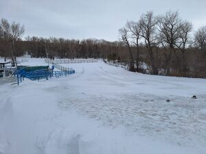 Всыпали  за непослушание