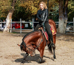 Коня на скаку остановят