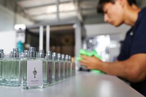 Массовый исход из тени