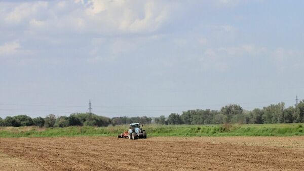 Пашите глубже!