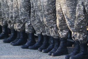 Смертельная дедовщина