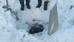 Опасная дорога домой