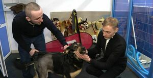 Она снова сможет бегать!