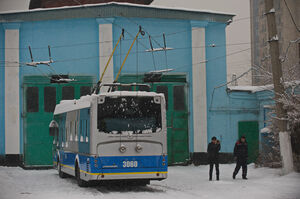 Рогатая идея