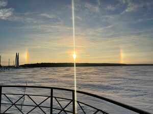 Отмороженные