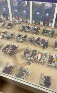 Отнеслись по-scat’ски