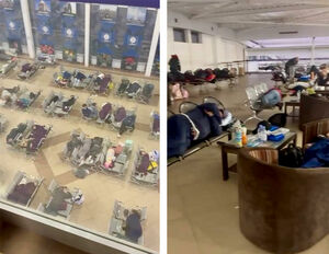 Отнеслись по-scat’ски