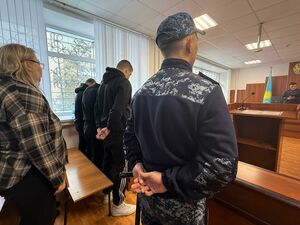 Посадили всех